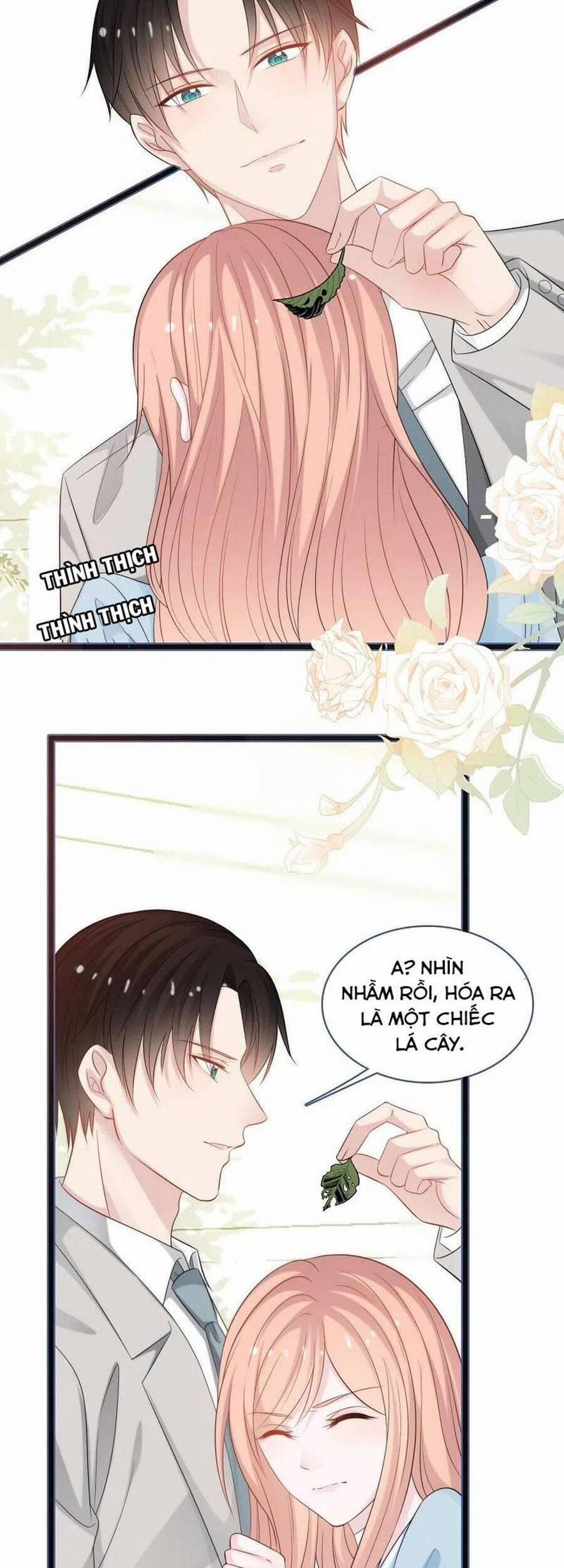 Tổng Tài Daddy Đuổi Tới Nơi Rồi 192 trang 16