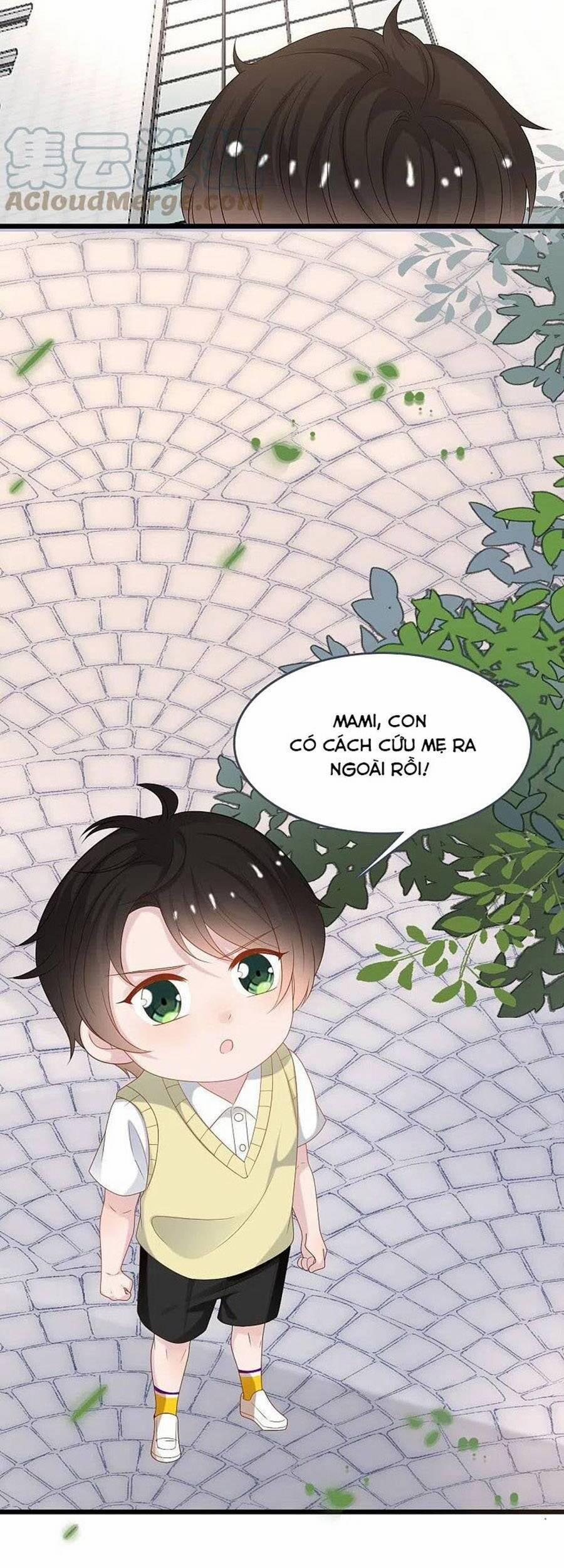 Tổng Tài Daddy Đuổi Tới Nơi Rồi 198 trang 7