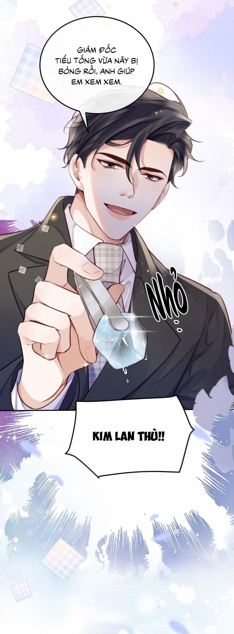 Tổng Tài Định Chế Tư Nhân 118 trang 31