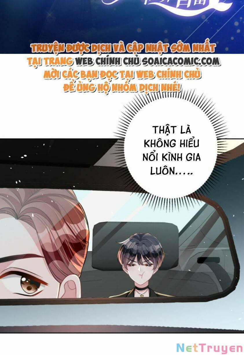 Tổng Tài Huyết Tộc Cực Sủng Cô Vợ Mỹ Nhân Ngư 45 trang 1