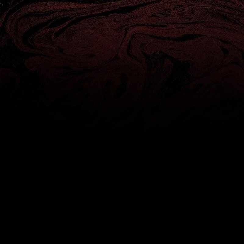 Top Ranker 3 trang 223