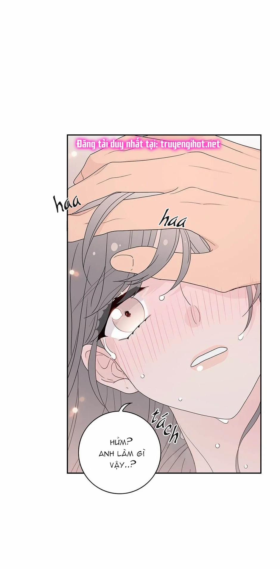 Toy Complex 40.2 trang 5