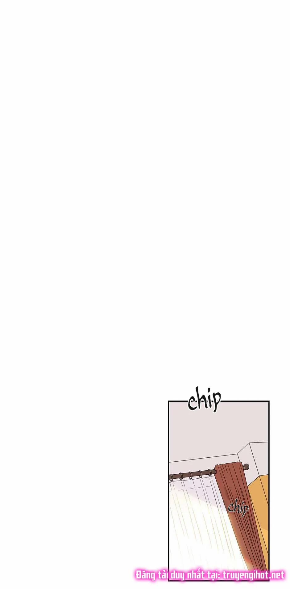 Toy Complex 40.2 trang 7