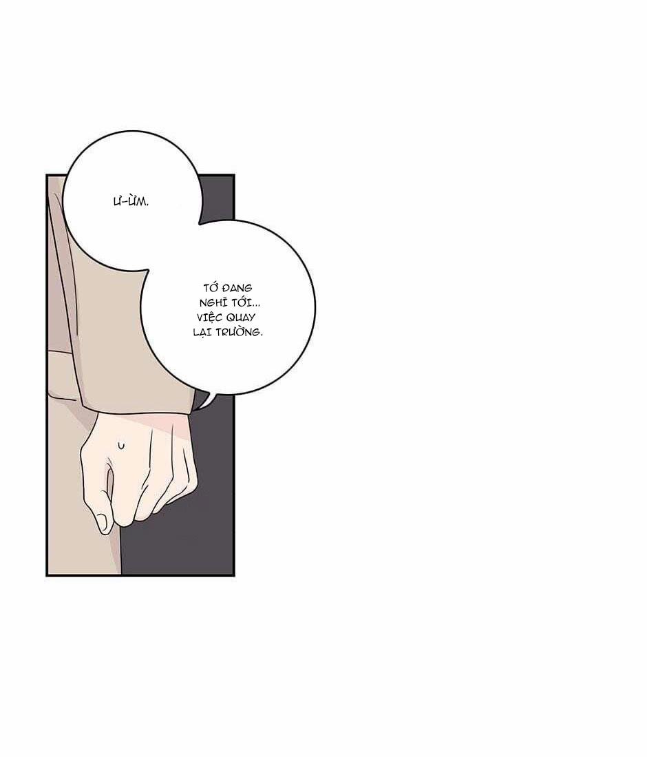 Toy Complex 41.3 trang 11