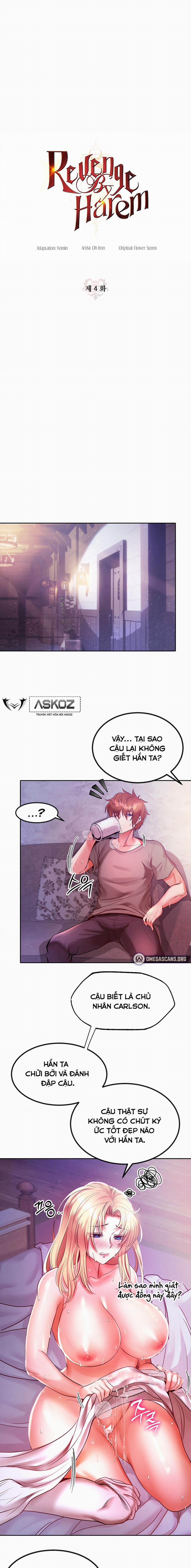 Trả Thù Bằng Dàn Harem 4 trang 13