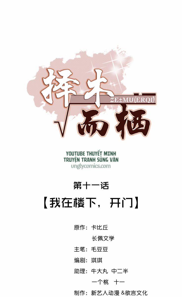 Trạch Mộc Nhi Tê 11 trang 0