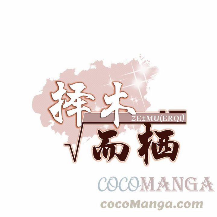 Trạch Mộc Nhi Tê 23 trang 0