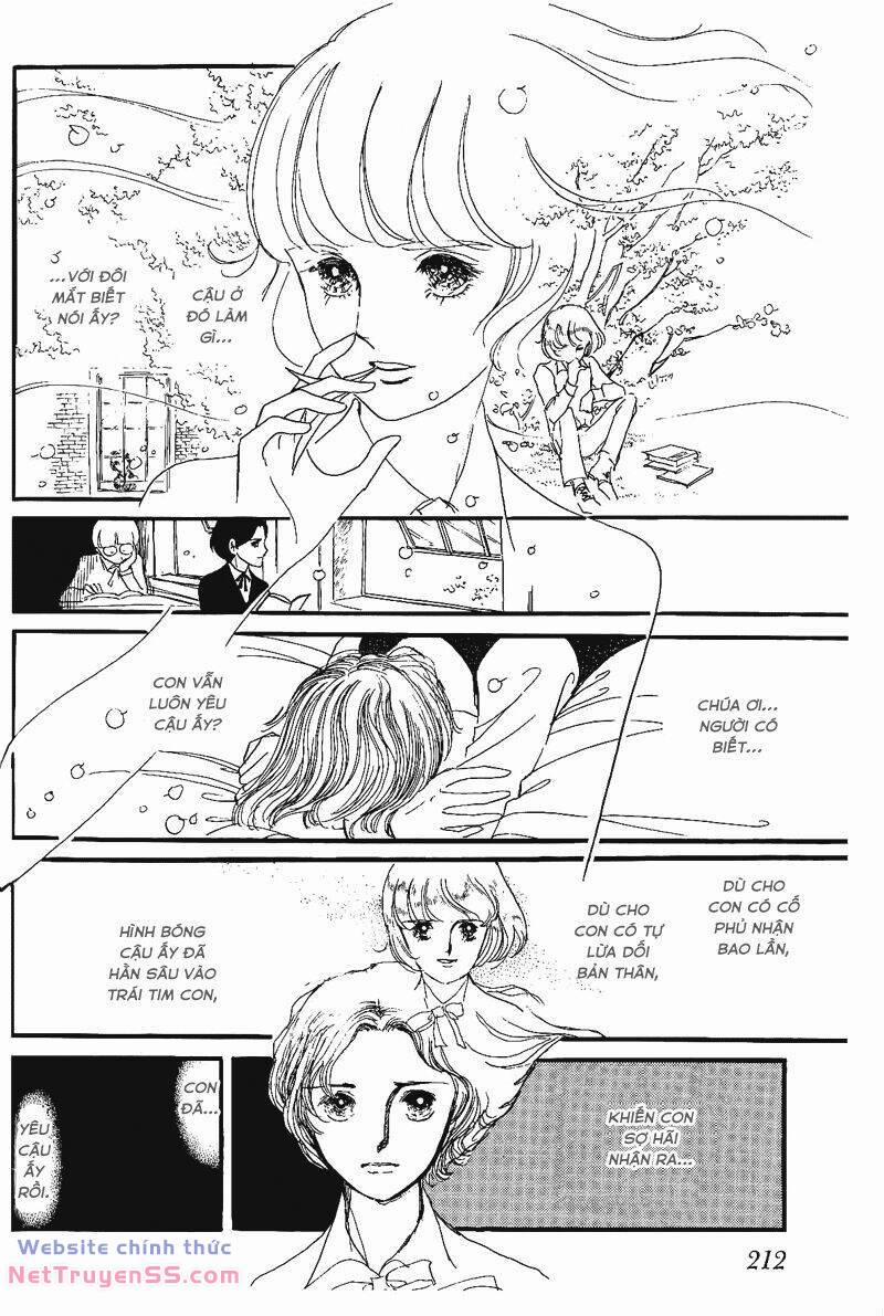 Trái Tim Của Thomas 16 trang 12