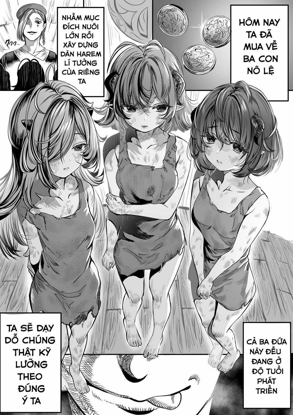 Training Slaves To Make A Harem 1 trang 1