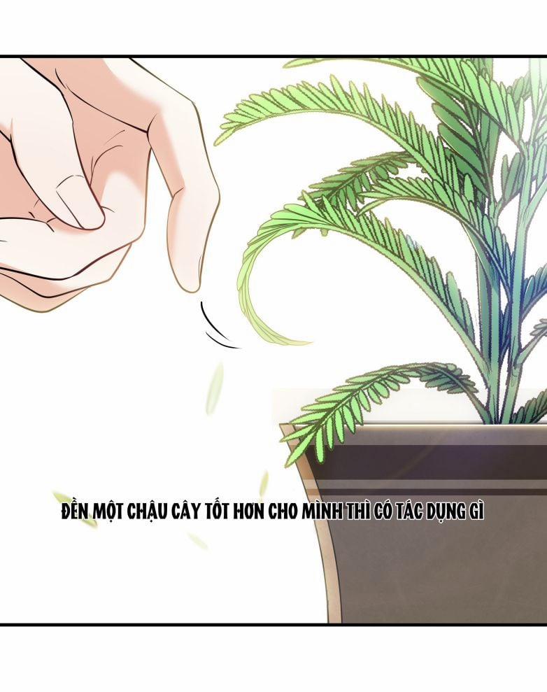 Trần Thương (Vết Sẹo Cũ) 70 trang 6