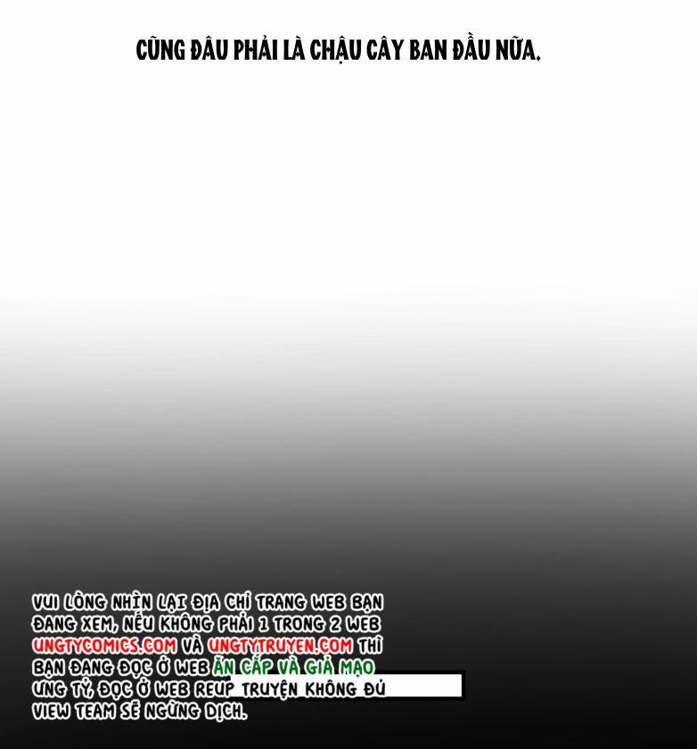 Trần Thương (Vết Sẹo Cũ) 70 trang 8