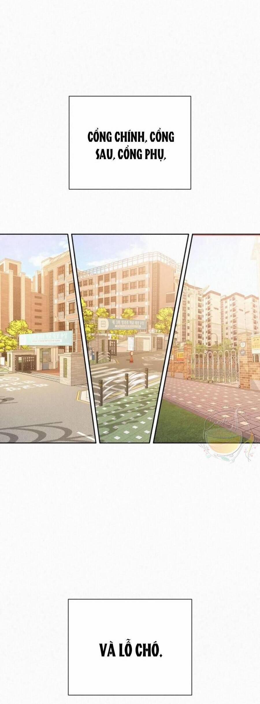 Trăng Tối: Kỉ Nguyên Máu 44 trang 36