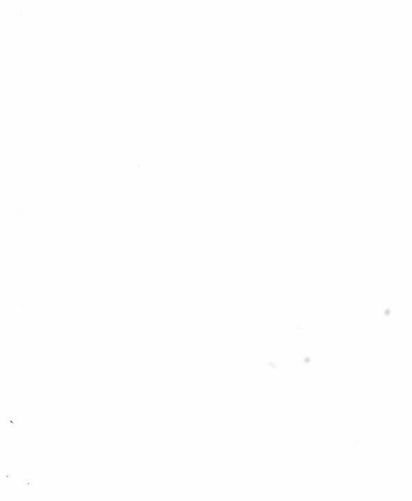 Trăng Tối: Kỉ Nguyên Máu 67.1 trang 36