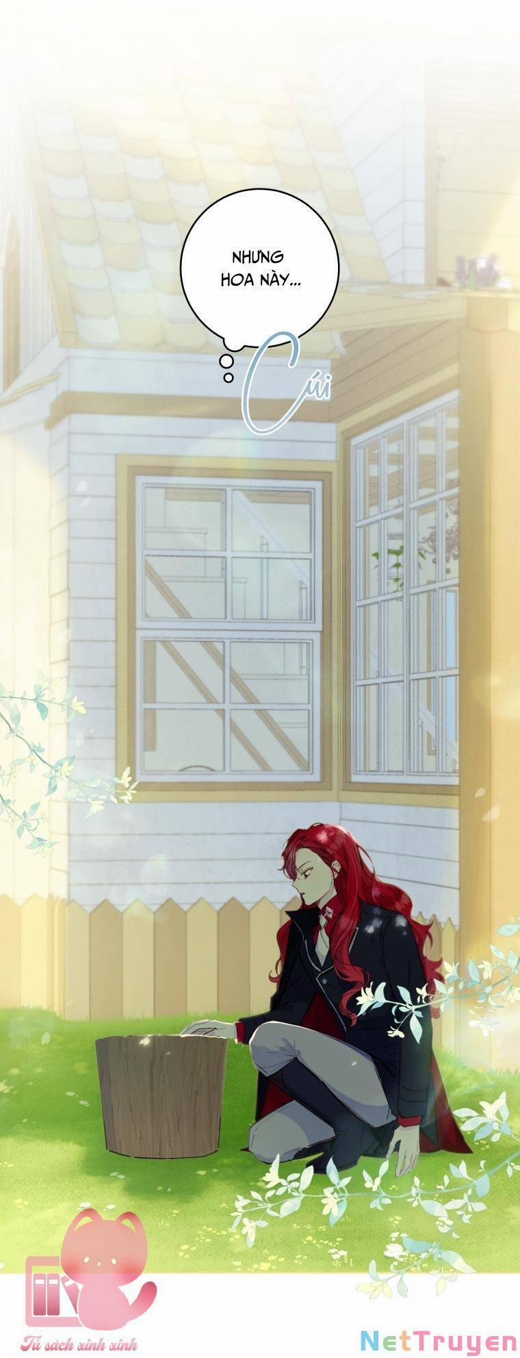 Trang Trại Hạt Dẻ Gần Cung Điện Hoàng Gia 44 trang 27