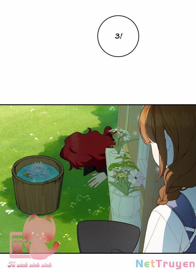 Trang Trại Hạt Dẻ Gần Cung Điện Hoàng Gia 44 trang 43