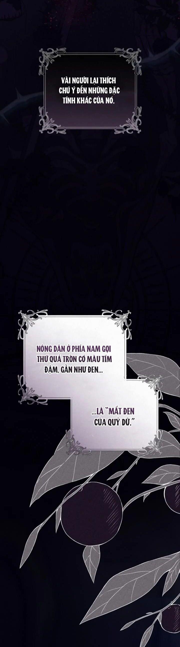 Trang Trại Hạt Dẻ Gần Cung Điện Hoàng Gia 62 trang 3