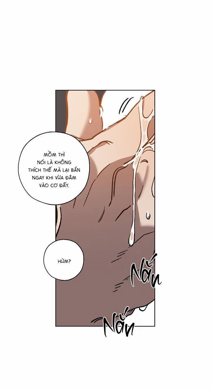 Tráo Đổi 35 trang 27