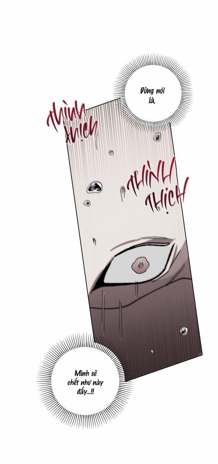 Tráo Đổi 43 trang 41