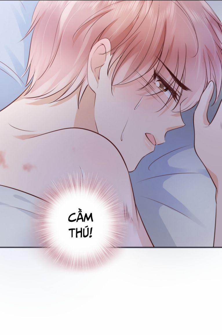 Tri Bỉ 61 trang 17