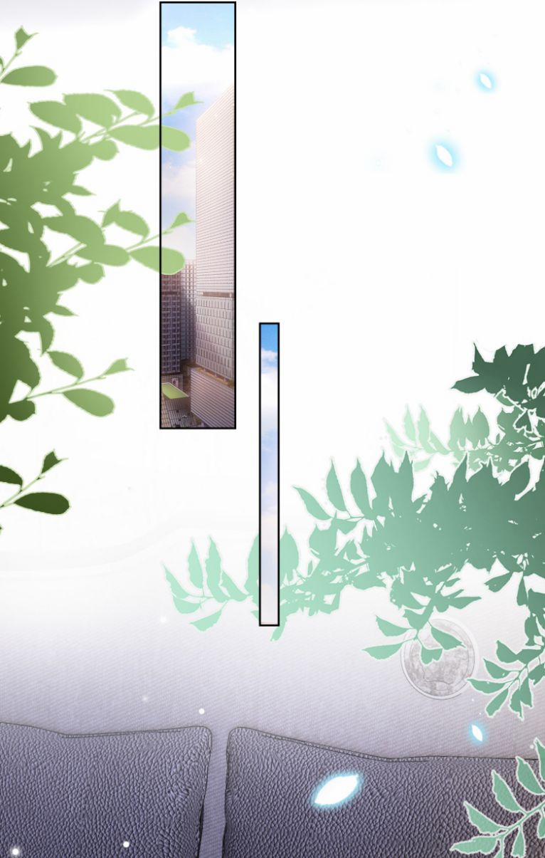 Tri Bỉ 61 trang 25