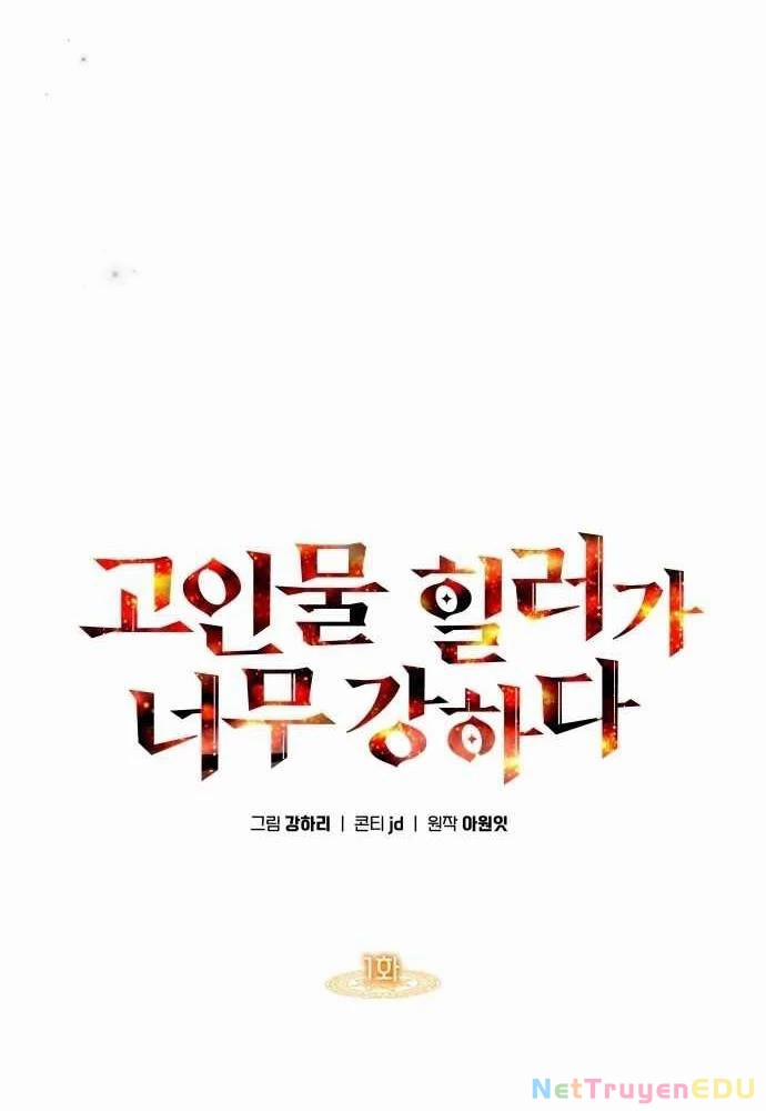 Trị Liệu Sư Quá Mạnh 1 trang 62