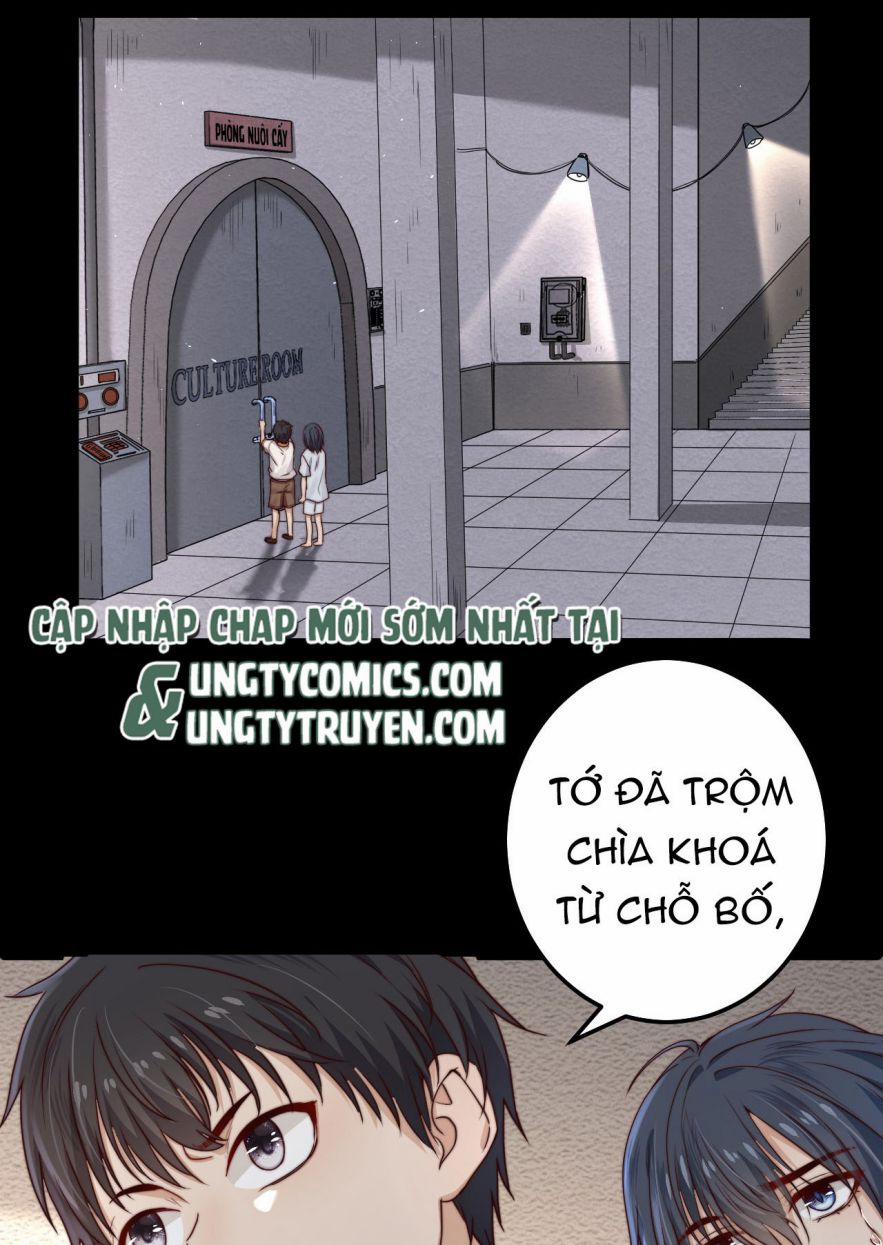 Trò Chơi Đảo Sinh 12 trang 15