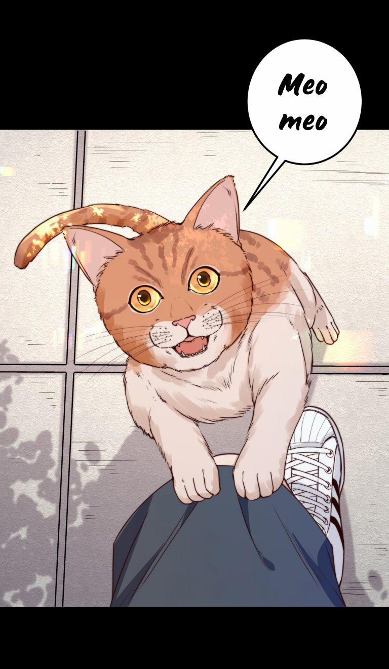 Trò Chơi Đảo Sinh 14 trang 15