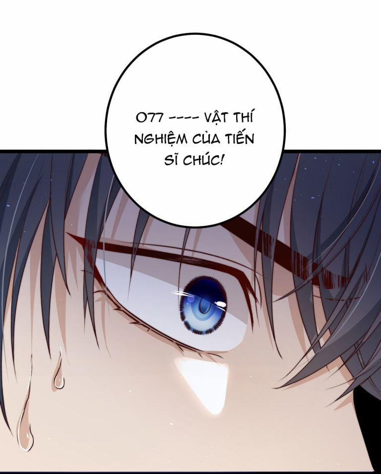 Trò Chơi Đảo Sinh 15 trang 13