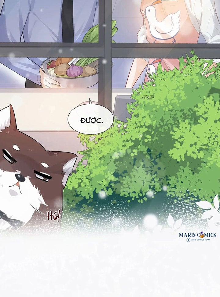 Trò Chơi Truy Đuổi 5 trang 15