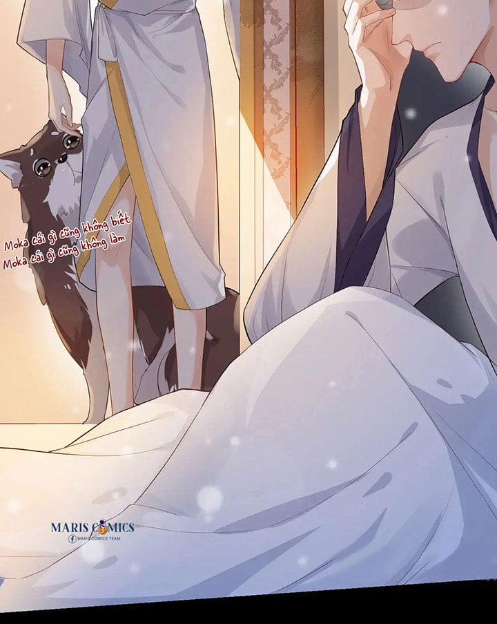 Trò Chơi Truy Đuổi 5 trang 41