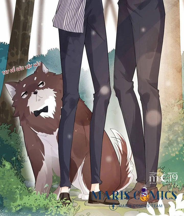 Trò Chơi Truy Đuổi 6 trang 13