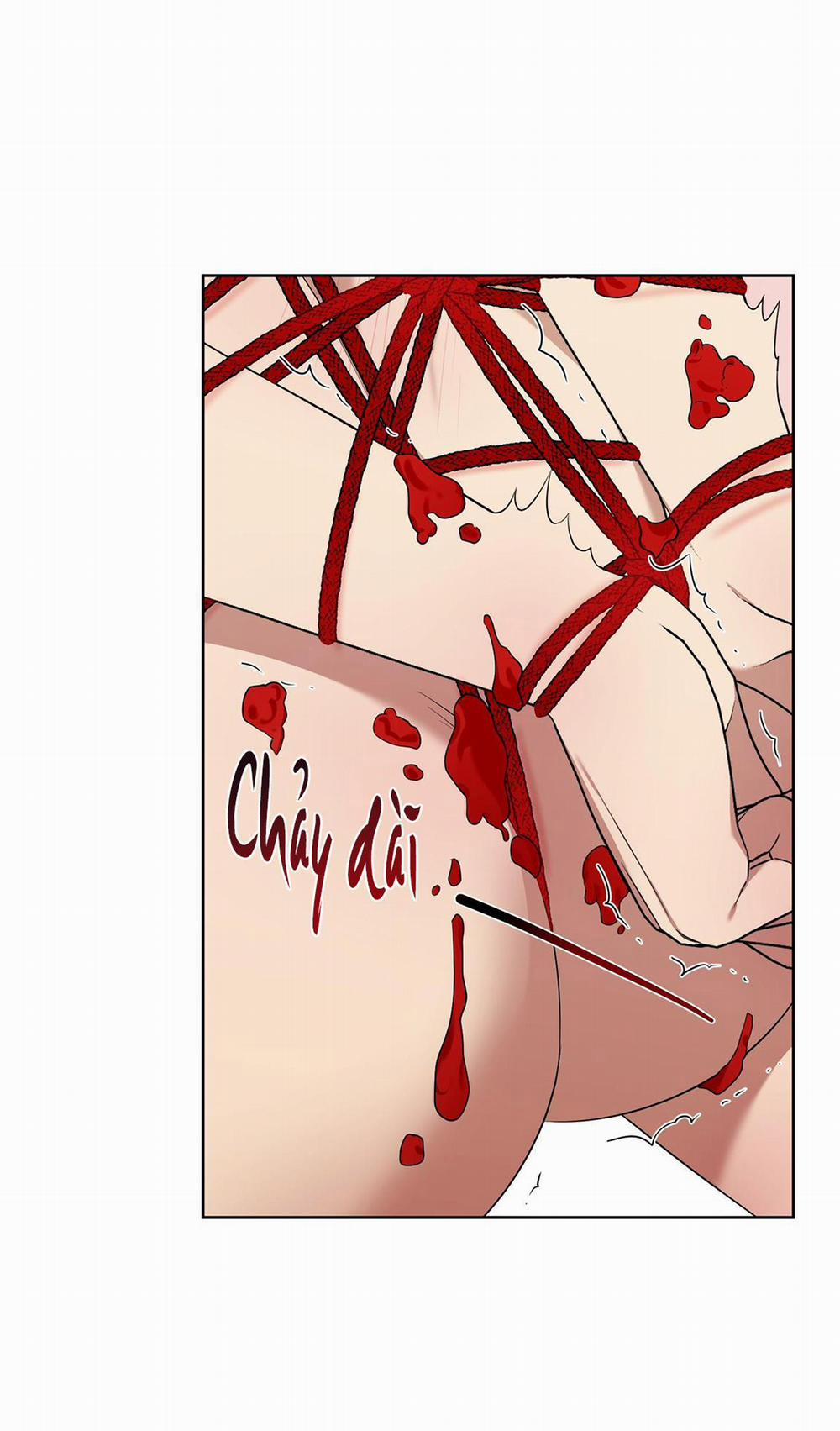 TRỢ GIẢNG ƠI, BỊ LỪA RỒI 4 trang 46