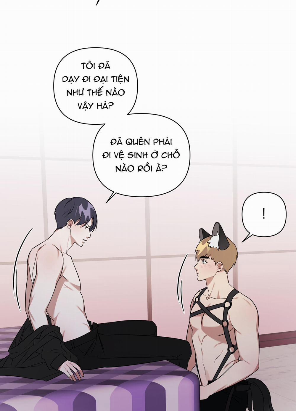 TRỢ GIẢNG ƠI, BỊ LỪA RỒI 8 trang 44