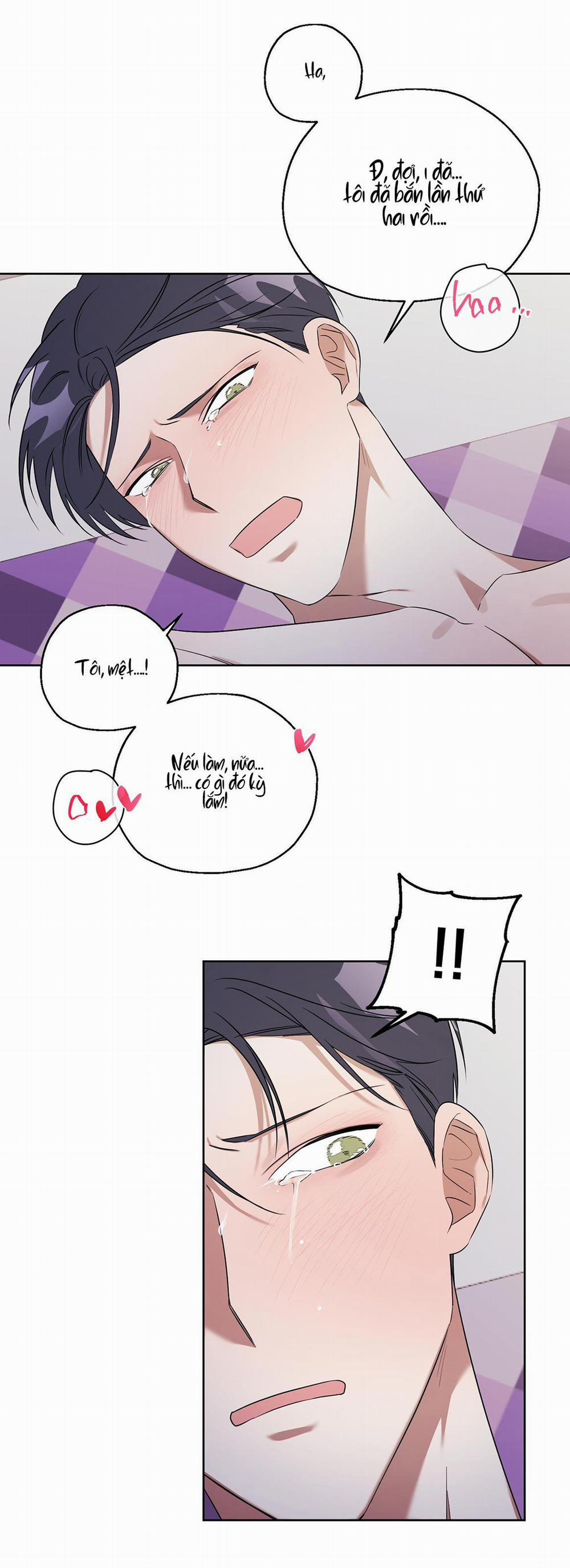 TRỢ GIẢNG ƠI, BỊ LỪA RỒI 9 trang 17