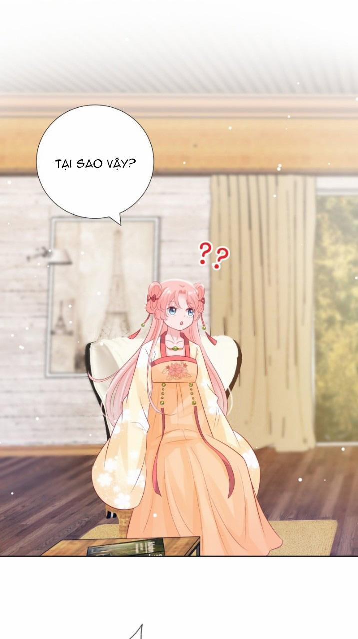 Trợ lí vàng và cô ca sĩ cấp thấp 4 trang 10