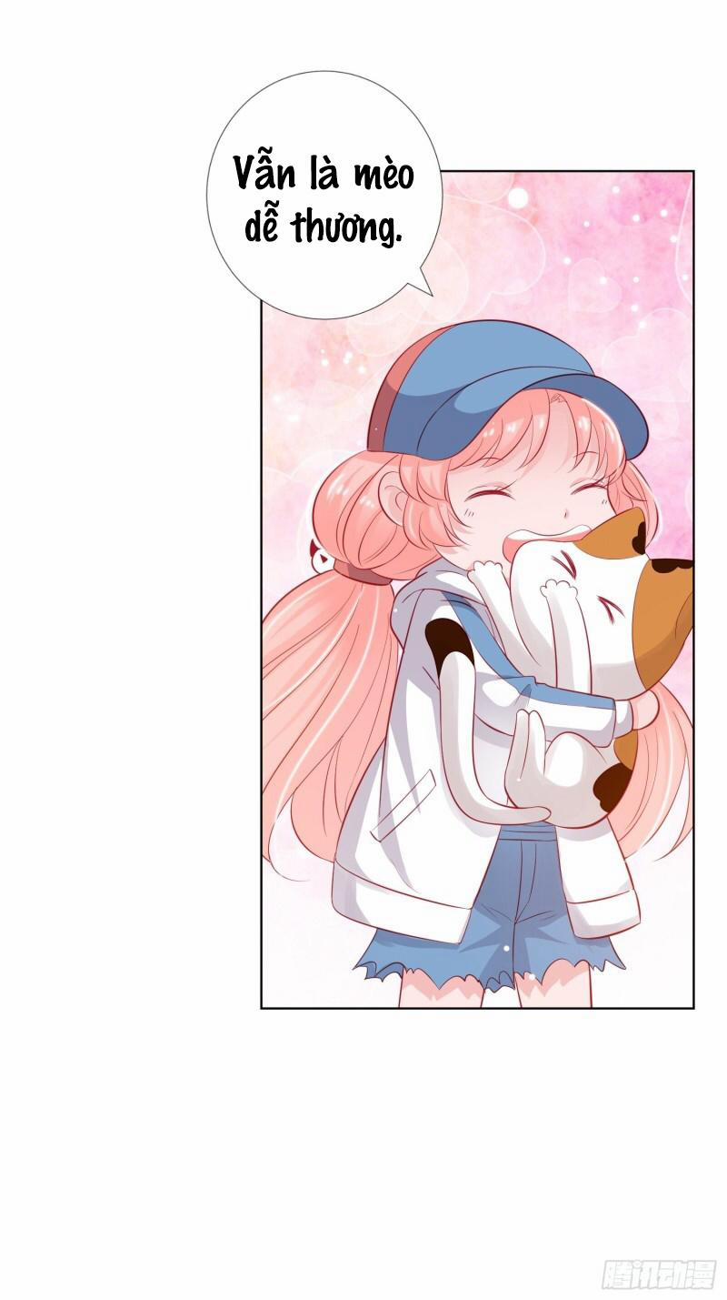 Trợ lí vàng và cô ca sĩ cấp thấp 8 trang 19