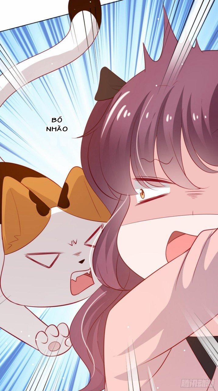 Trợ lí vàng và cô ca sĩ cấp thấp 9 trang 30