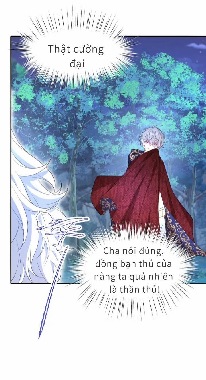 Trở Thành Đoàn Sủng Về Sau, Ta Đại Sát Tứ Phương 3 trang 17