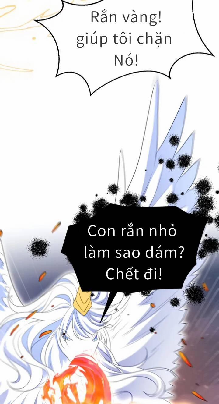 Trở Thành Đoàn Sủng Về Sau, Ta Đại Sát Tứ Phương 3 trang 21