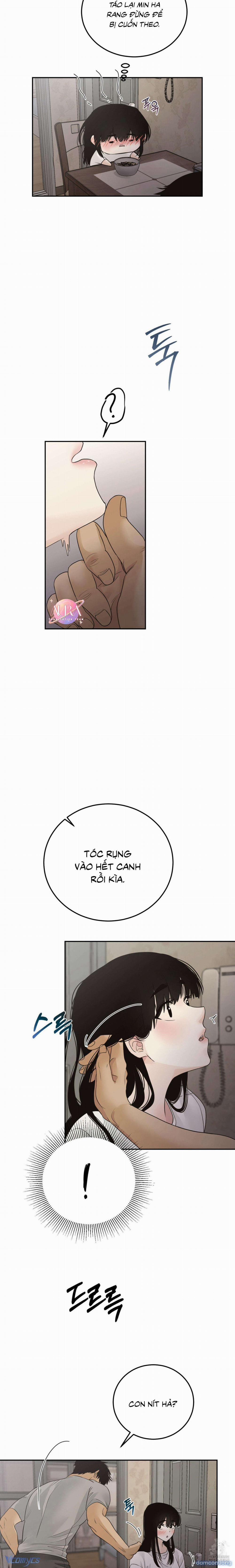 Trở Thành Gia Đình 28 trang 11