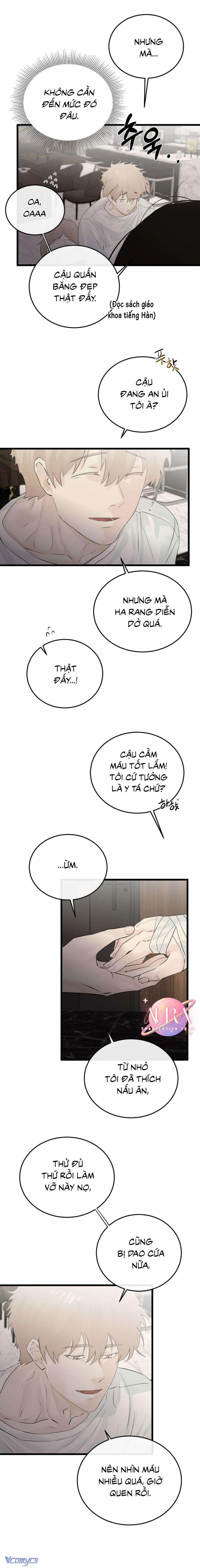 Trở Thành Gia Đình 44 trang 15