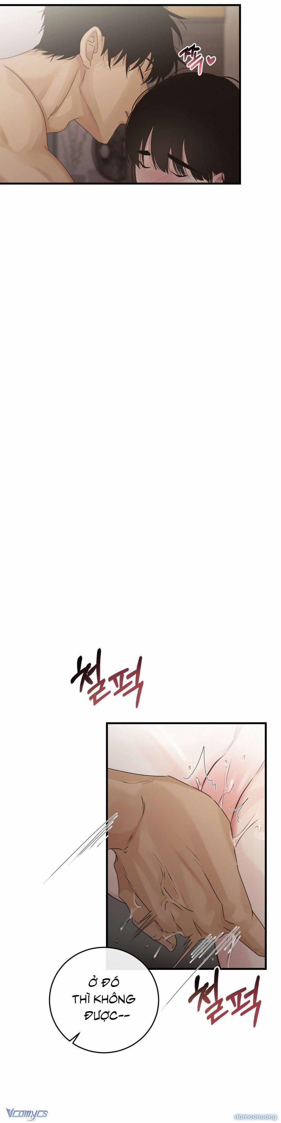 Trở Thành Gia Đình 63 trang 17