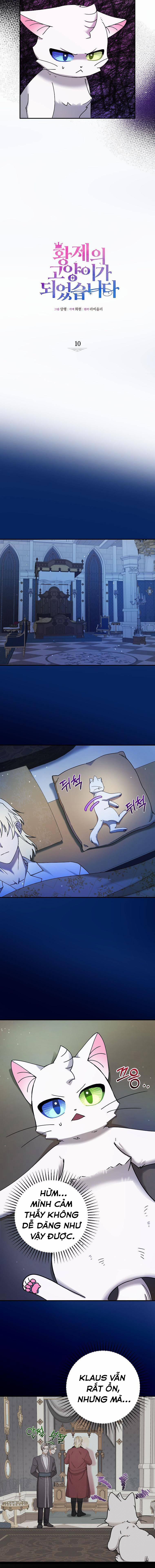 Trở Thành Miêu Nữ Của Hoàng Đế 10 trang 7