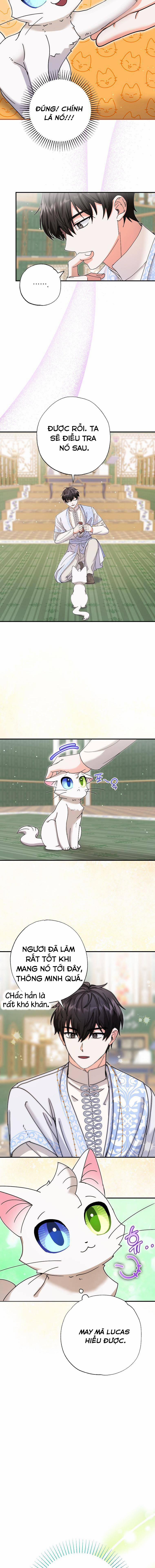 Trở Thành Miêu Nữ Của Hoàng Đế 11 trang 11