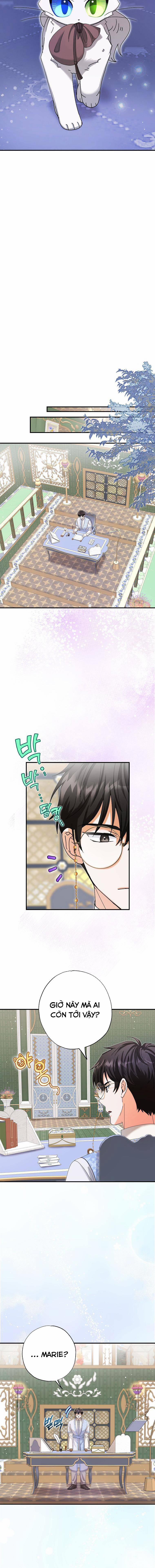Trở Thành Miêu Nữ Của Hoàng Đế 11 trang 7
