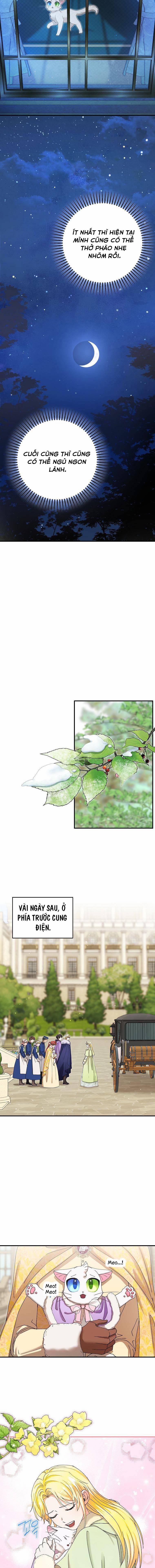 Trở Thành Miêu Nữ Của Hoàng Đế 12 trang 9