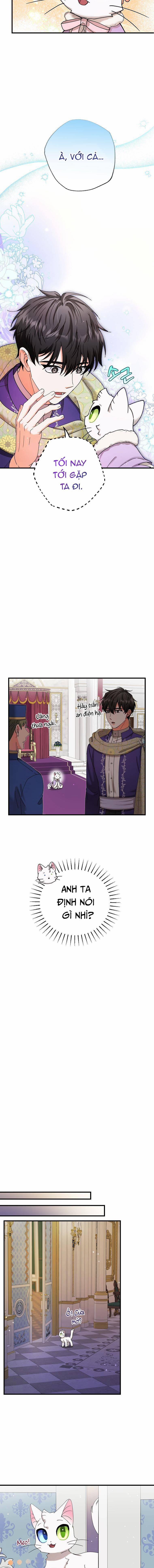 Trở Thành Miêu Nữ Của Hoàng Đế 17 trang 5