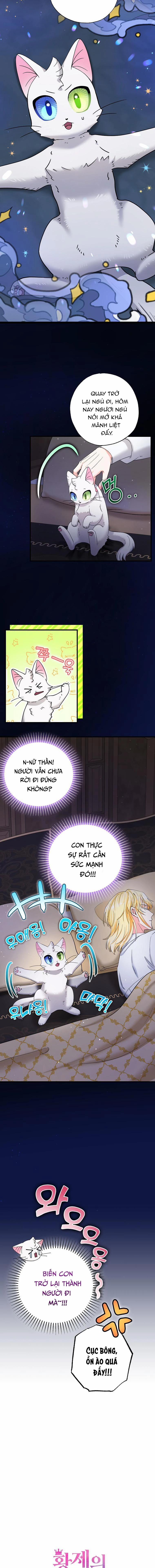 Trở Thành Miêu Nữ Của Hoàng Đế 21 trang 2
