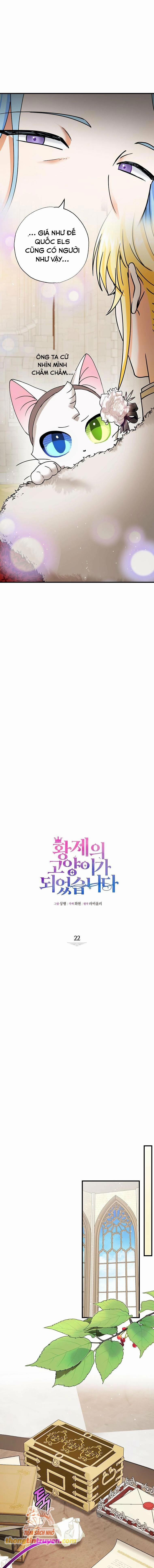 Trở Thành Miêu Nữ Của Hoàng Đế 22 trang 3