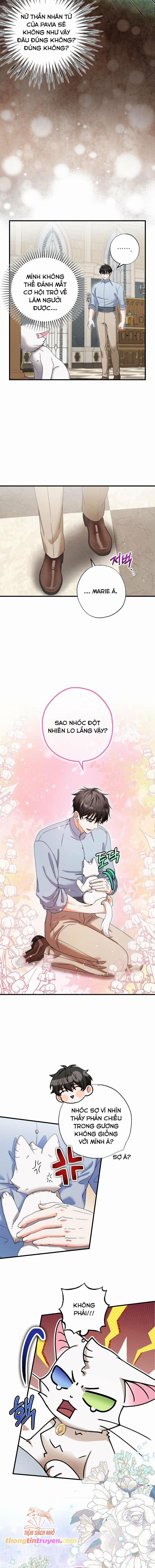 Trở Thành Miêu Nữ Của Hoàng Đế 22 trang 9